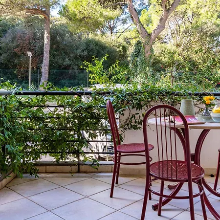 Premium Verudela - Istria